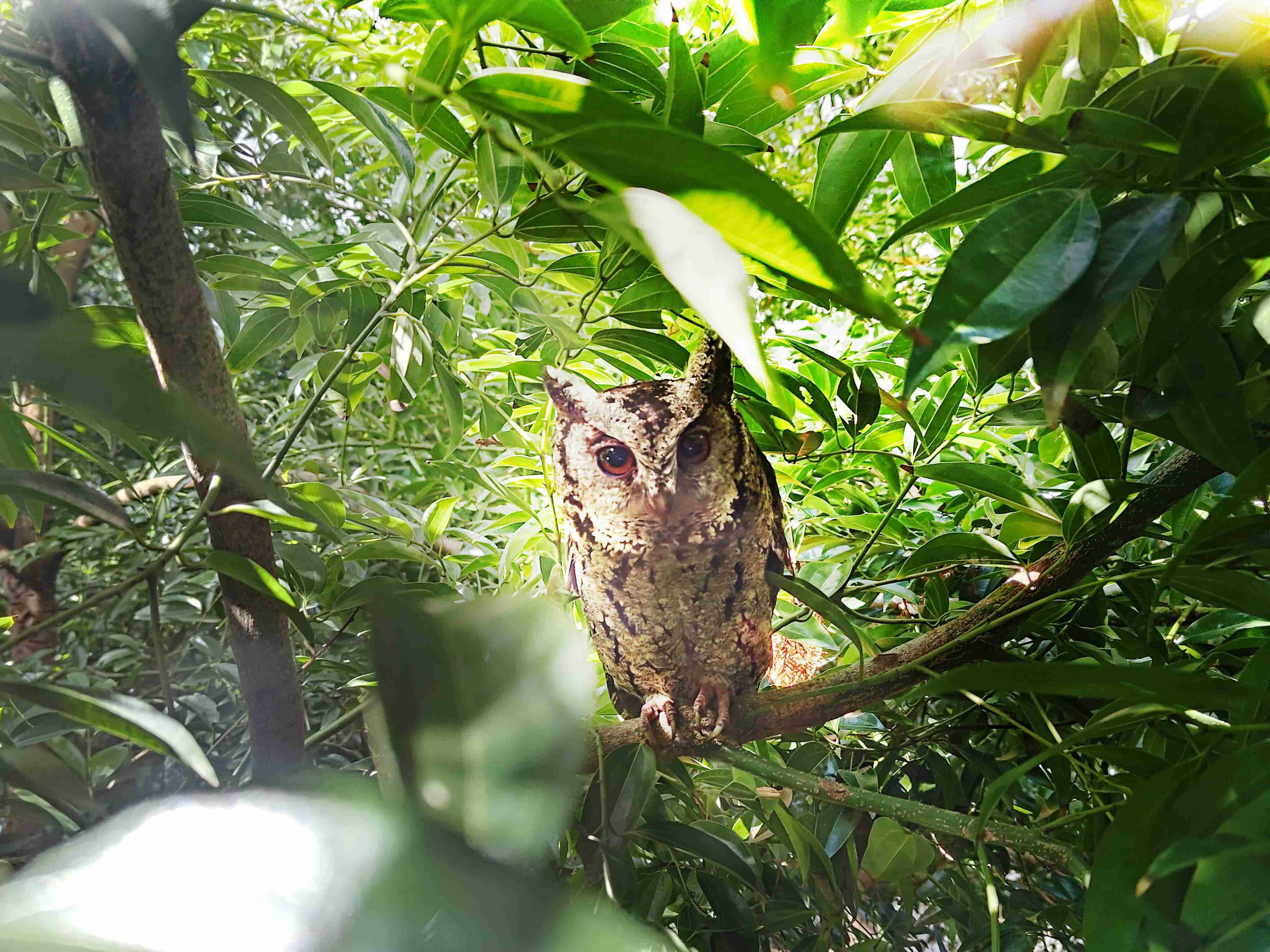 28国际致力提倡净零绿生活，，，，16年以来在全球各厂区植树逾百万棵，，，造就各厂区树木蔚然成林，，犹如森林工厂，，，成为许多生物的栖息地